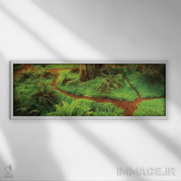 تابلو پانورامای مسیر ردوودها اثر دنیس فراتس - نمای قابدار سفید