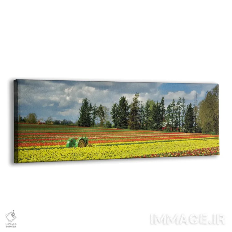 تابلو پانورامای تراکتور و لالهها اثر دنیس فراتس - نمای پرسپکتیو محصول