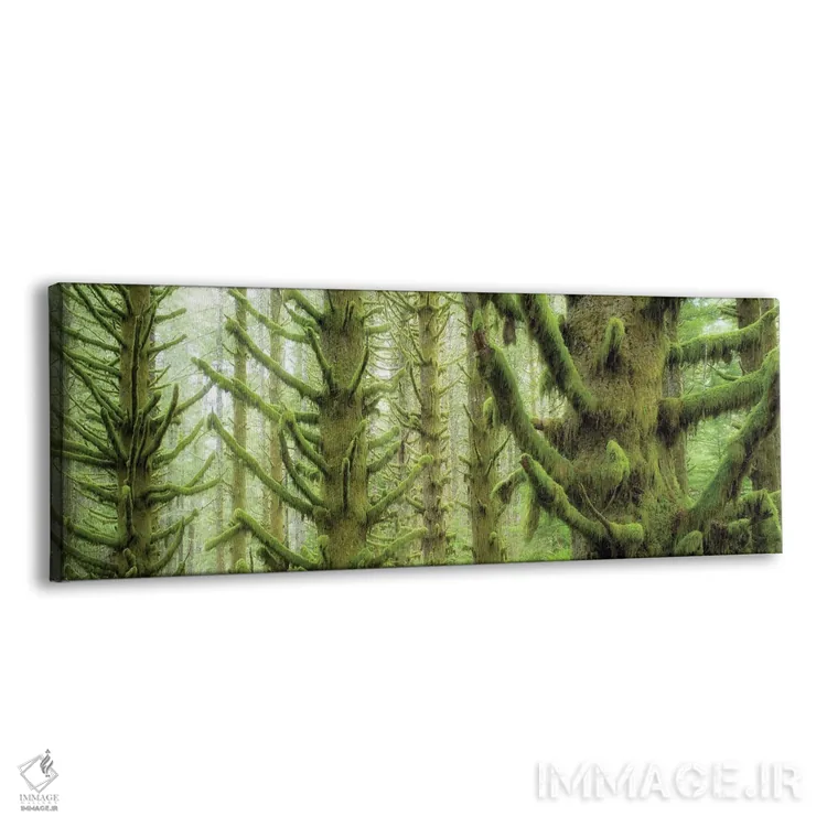تابلو پانورامای درختان هنگام باران اثر دنیس فراتس - نمای پرسپکتیو محصول
