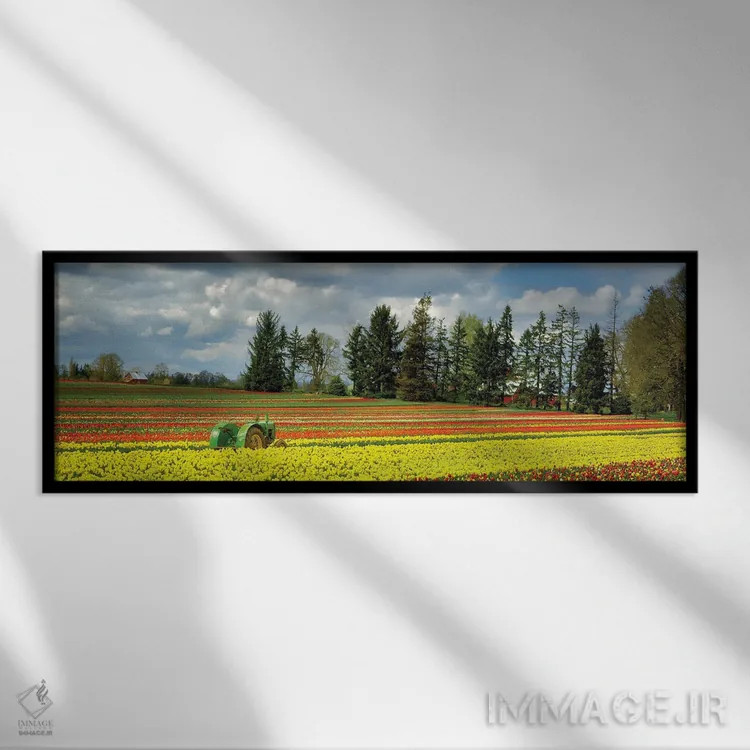 تابلو پانورامای تراکتور و لالهها اثر دنیس فراتس - نمای قابدار مشکی