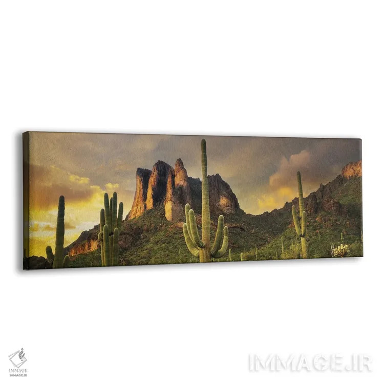 تابلو پانورامای غروب بیابان اثر دنیس فراتس - نمای پرسپکتیو محصول