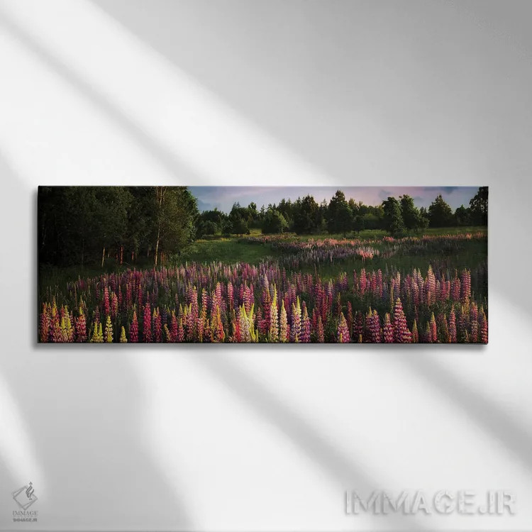 تابلو پانورامای نوعی گل وحشی لوپین اثر دنیس فراتس - نمای روبهرو روی دیوار