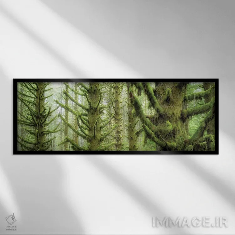 تابلو پانورامای درختان هنگام باران اثر دنیس فراتس - نمای قابدار مشکی