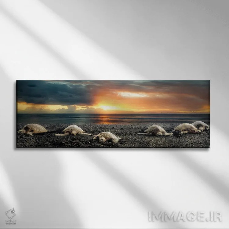 تابلو پانورامای لاکپشتهای دریایی هنگام غروب اثر دنیس فراتس - نمای روبهرو روی دیوار