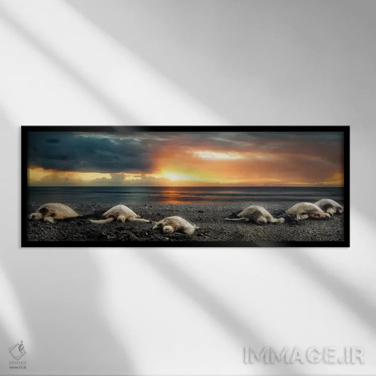 تابلو پانورامای لاکپشتهای دریایی هنگام غروب اثر دنیس فراتس - نمای قابدار مشکی