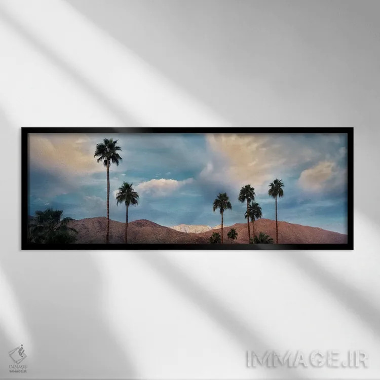 تابلو بارش برف در بیابان نخل VI اثر دنیس فراتس - نمای قابدار مشکی