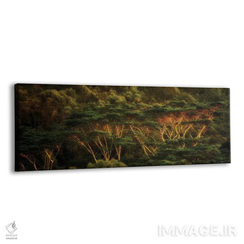 تابلو درختان گرمسیری اثر دنیس فراتس - نمای پرسپکتیو محصول