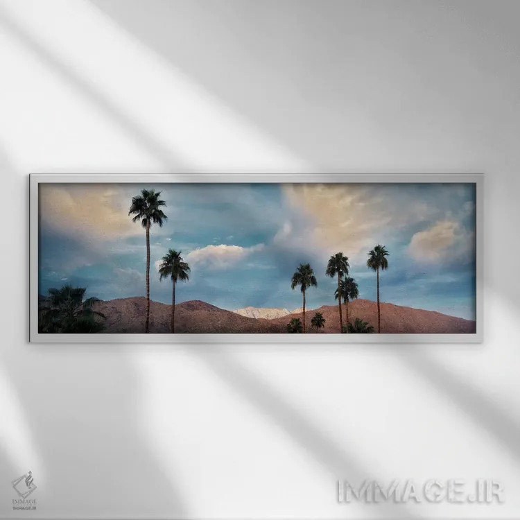 تابلو بارش برف در بیابان نخل VI اثر دنیس فراتس - نمای قابدار سفید