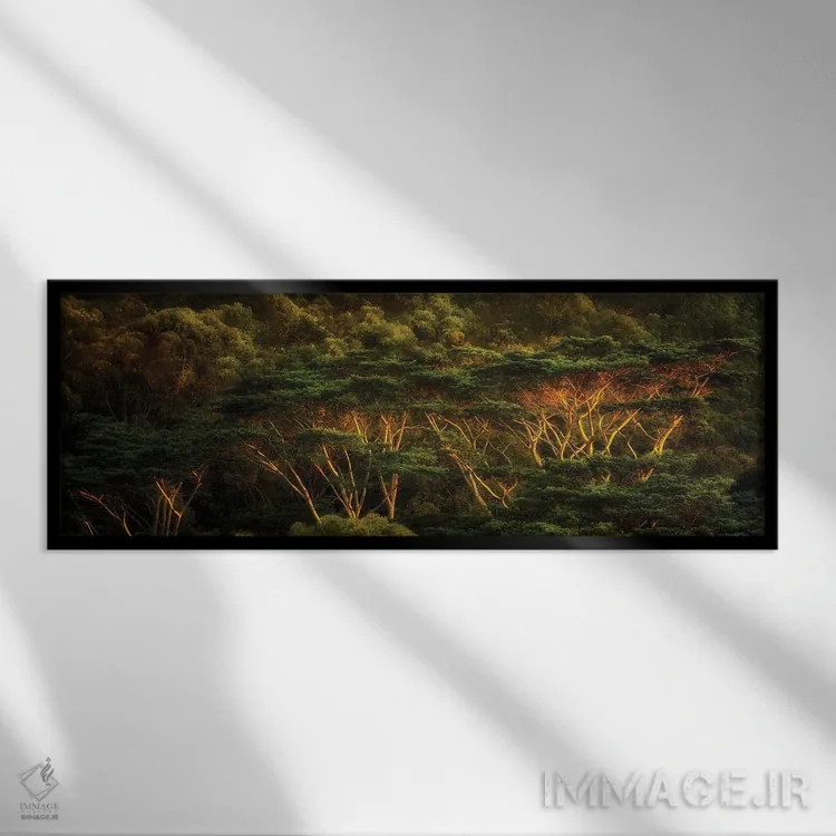 تابلو درختان گرمسیری اثر دنیس فراتس - نمای قابدار مشکی