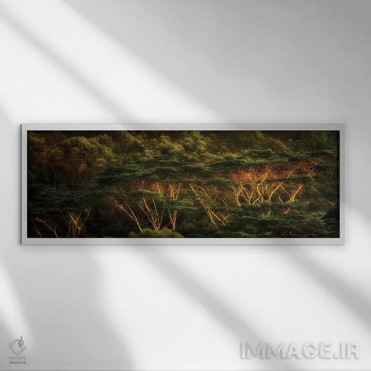 تابلو درختان گرمسیری اثر دنیس فراتس - نمای قابدار سفید