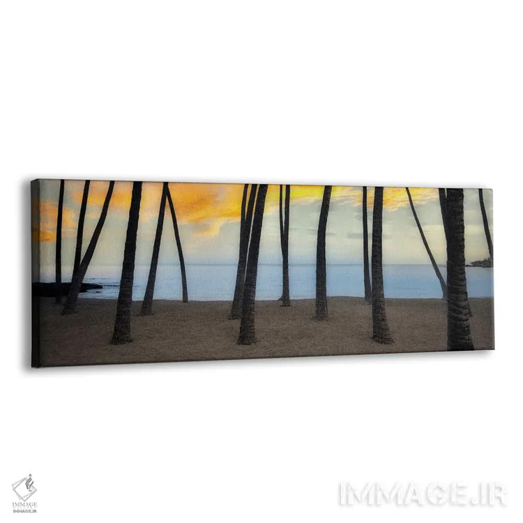 تابلو ساحل نخل اثر دنیس فراتس - نمای پرسپکتیو محصول