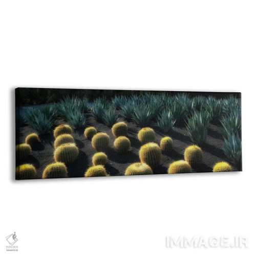 تابلو باغ کاکتوس اثر دنیس فراتس - نمای پرسپکتیو محصول