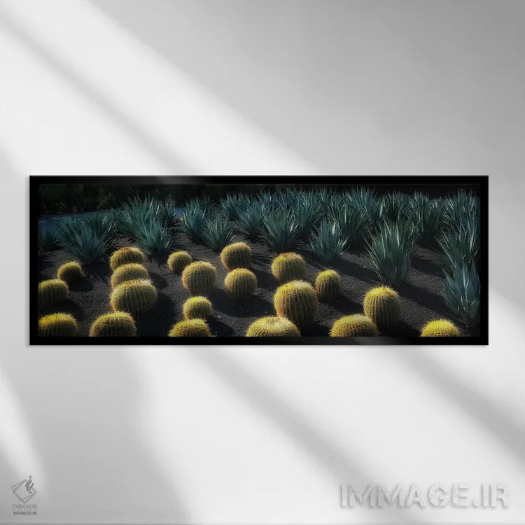 تابلو باغ کاکتوس اثر دنیس فراتس - نمای قابدار مشکی
