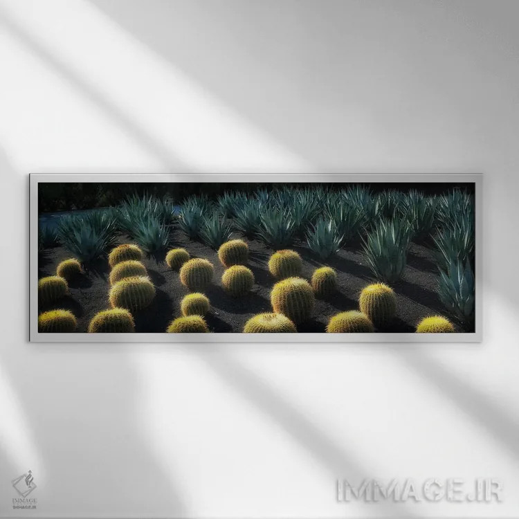 تابلو باغ کاکتوس اثر دنیس فراتس - نمای قابدار سفید