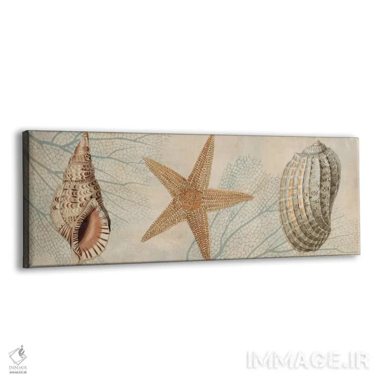 تابلو همراهان اقیانوس I اثر دبورا دوولیه - نمای پرسپکتیو محصول