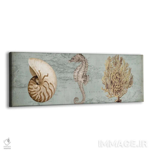 تابلو گنجینههای دریا I اثر دبورا دوولیه - نمای پرسپکتیو محصول