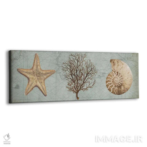 تابلو گنجینههای دریا II اثر دبورا دوولیه - نمای پرسپکتیو محصول