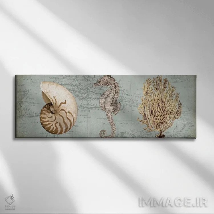 تابلو گنجینههای دریا I اثر دبورا دوولیه - نمای روبهرو روی دیوار