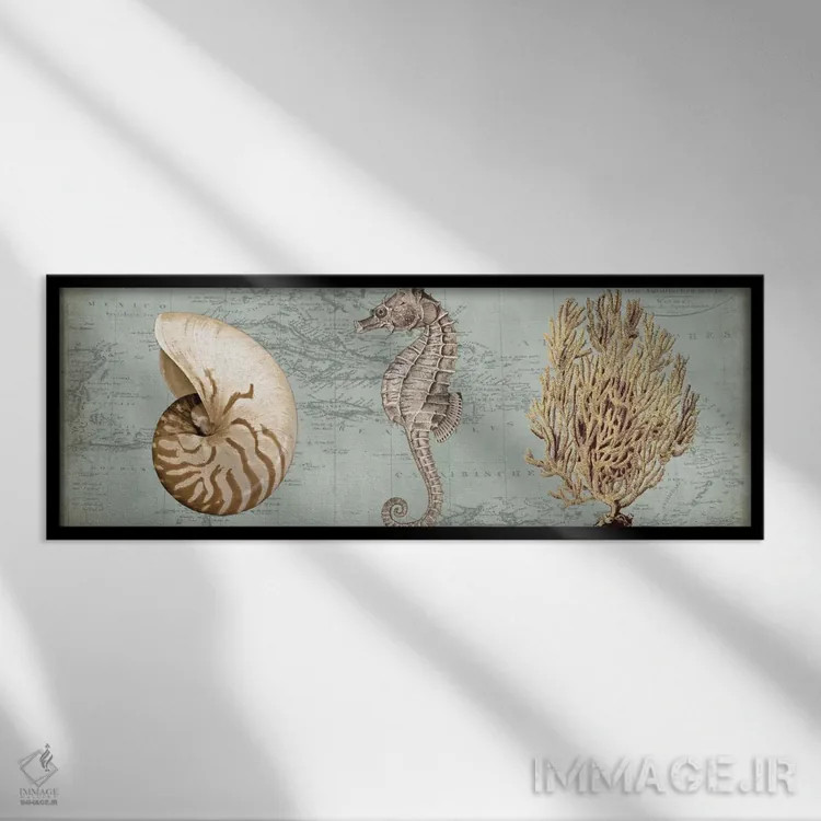 تابلو گنجینههای دریا I اثر دبورا دوولیه - نمای قابدار مشکی