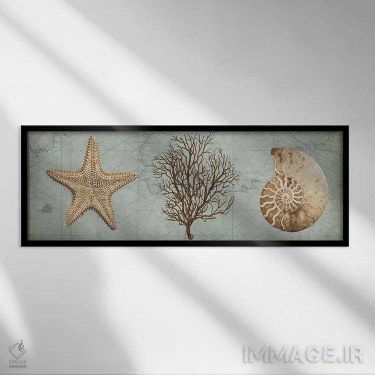 تابلو گنجینههای دریا II اثر دبورا دوولیه - نمای قابدار مشکی