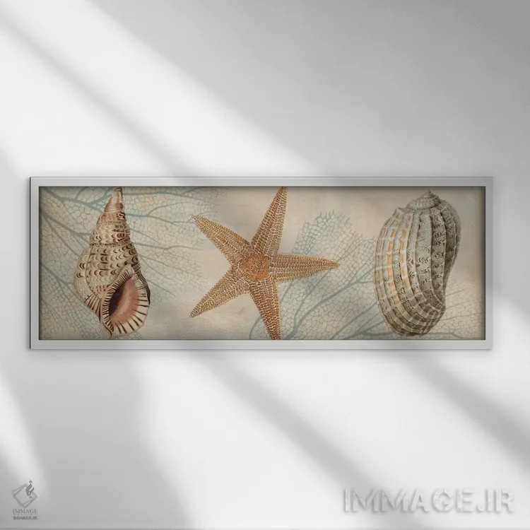 تابلو همراهان اقیانوس I اثر دبورا دوولیه - نمای قابدار سفید