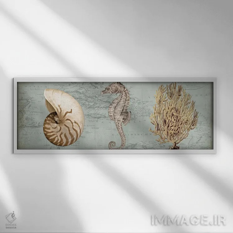 تابلو گنجینههای دریا I اثر دبورا دوولیه - نمای قابدار سفید