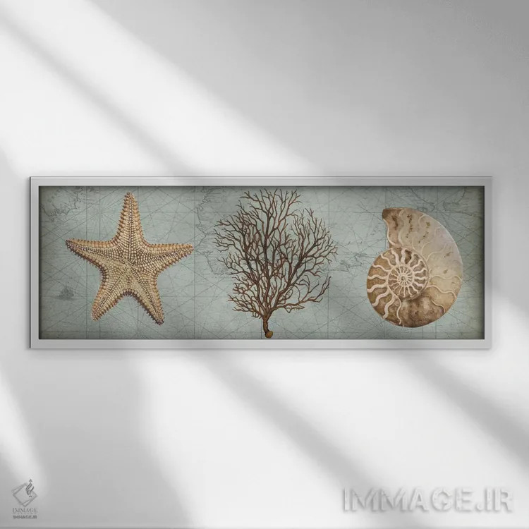 تابلو گنجینههای دریا II اثر دبورا دوولیه - نمای قابدار سفید
