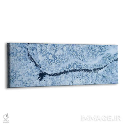 تابلو پانورامای جنگل یخزده اثر دنیل گاستاگر - نمای پرسپکتیو محصول