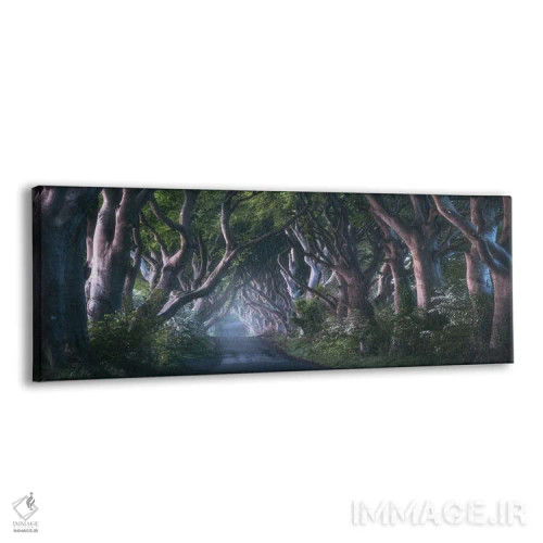 تابلو طلوع در مسیر درختان تیره در ایرلند شمالی (Dark Hedges: جاذبه مشهور) اثر دنیل گاستاگر - نمای پرسپکتیو محصول