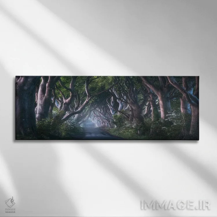 تابلو طلوع در مسیر درختان تیره در ایرلند شمالی (Dark Hedges: جاذبه مشهور) اثر دنیل گاستاگر - نمای روبهرو روی دیوار