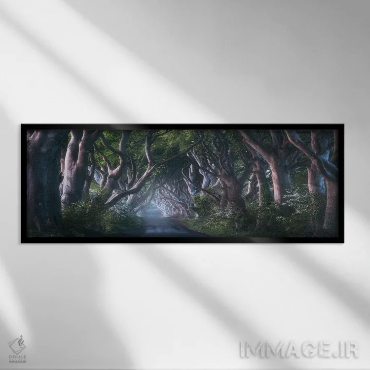 تابلو طلوع در مسیر درختان تیره در ایرلند شمالی (Dark Hedges: جاذبه مشهور) اثر دنیل گاستاگر - نمای قابدار مشکی