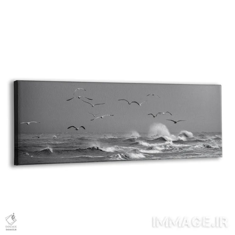 تابلو مرغان دریایی بالای امواج پرهیجان در دانمارک اثر دنیل گاستاگر - نمای پرسپکتیو محصول
