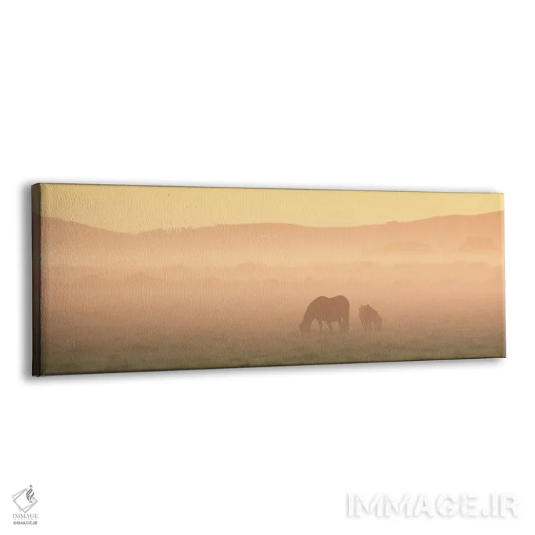 تابلو دو اسب ایسلندی اثر دنیل گاستاگر - نمای پرسپکتیو محصول