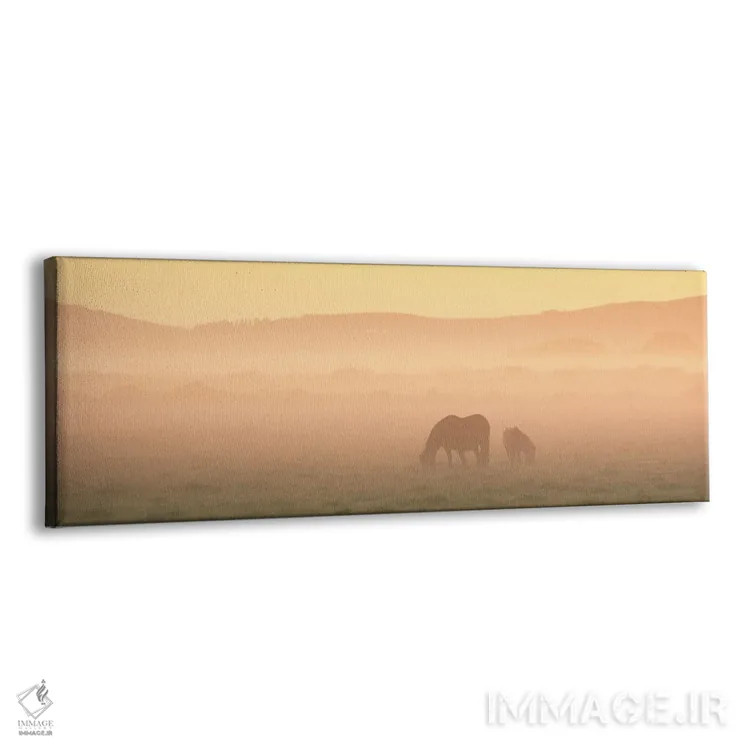 تابلو دو اسب ایسلندی اثر دنیل گاستاگر - نمای پرسپکتیو محصول