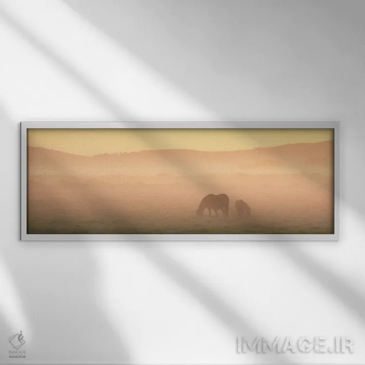 تابلو دو اسب ایسلندی اثر دنیل گاستاگر - نمای قابدار سفید