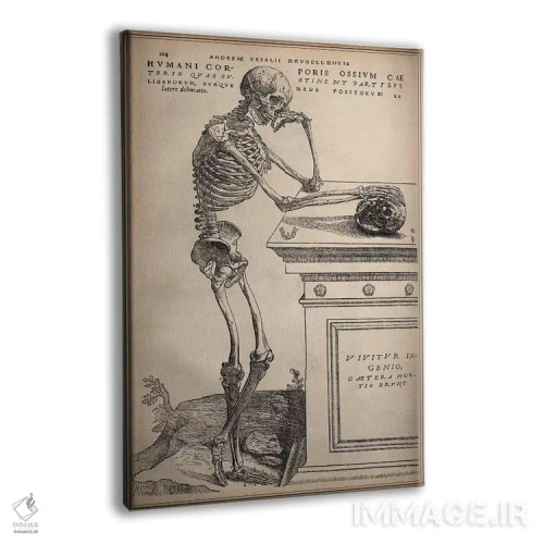 تابلو اسکلت ایستاده از اثر "ساختار بدن انسان" اثر وسالیوس (آندریاس وسالیوس - هنرمند و آناتومیست) - نمای پرسپکتیو محصول