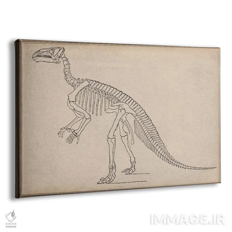 تابلو آناتومی اسکلت ایگوانودون اثر هنرمند ناشناس - نمای پرسپکتیو محصول