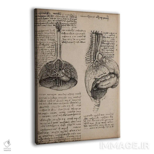 تابلو مطالعات اعضای بدن انسان در دفتر طراحی اثر لئوناردو داوینچی (نقاش و مخترع ایتالیایی) - نمای پرسپکتیو محصول