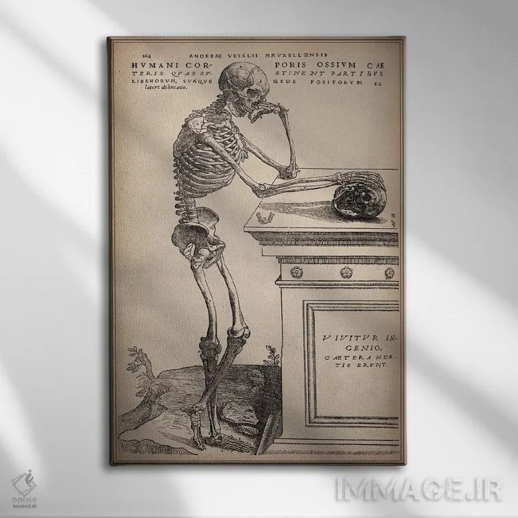 تابلو اسکلت ایستاده از اثر "ساختار بدن انسان" اثر وسالیوس (آندریاس وسالیوس - هنرمند و آناتومیست) - نمای روبهرو روی دیوار