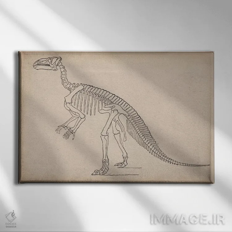 تابلو آناتومی اسکلت ایگوانودون اثر هنرمند ناشناس - نمای روبهرو روی دیوار