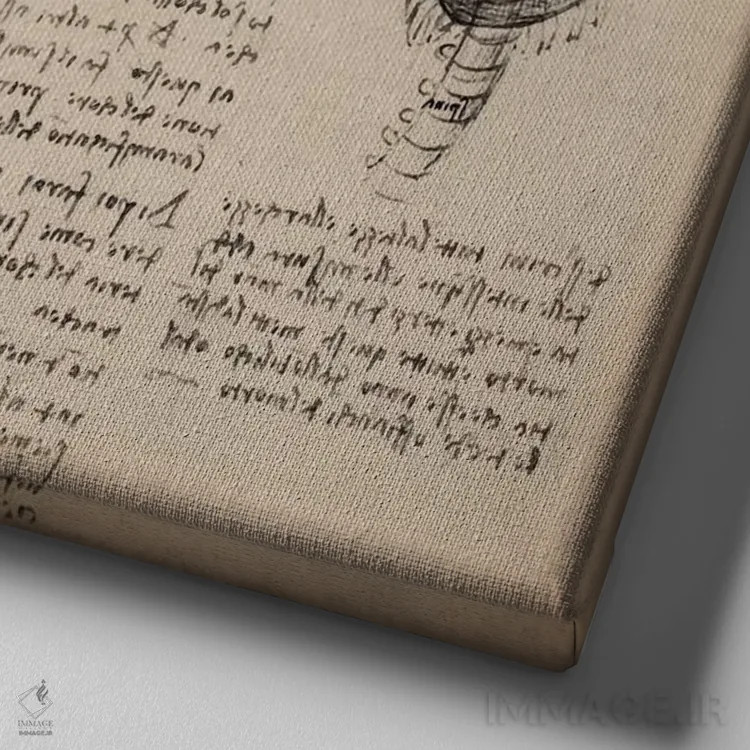 تابلو مطالعات اعضای بدن انسان در دفتر طراحی اثر لئوناردو داوینچی (نقاش و مخترع ایتالیایی) - نمای نزدیک بافت بوم