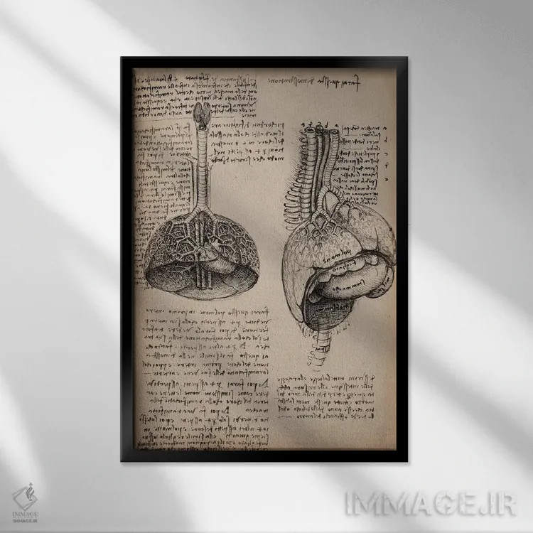 تابلو مطالعات اعضای بدن انسان در دفتر طراحی اثر لئوناردو داوینچی (نقاش و مخترع ایتالیایی) - نمای قابدار مشکی