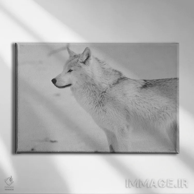 تابلو گرگ سفید اثر گوردون سمنس - نمای روبهرو روی دیوار