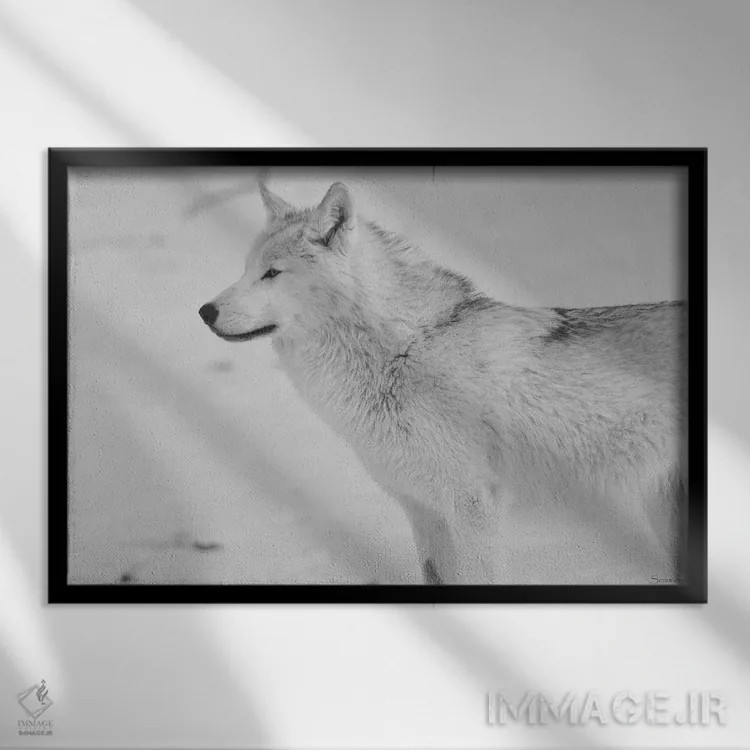 تابلو گرگ سفید اثر گوردون سمنس - نمای قابدار مشکی