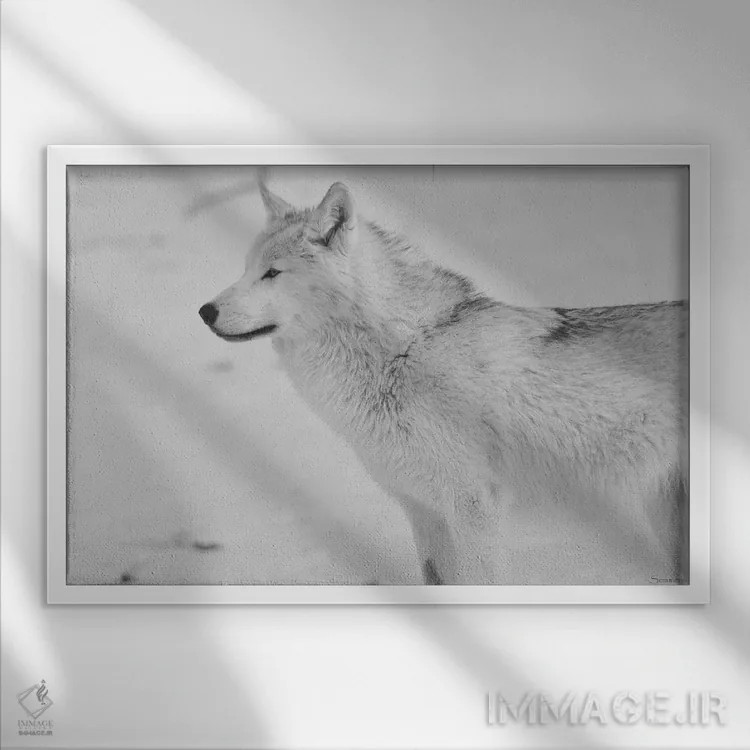 تابلو گرگ سفید اثر گوردون سمنس - نمای قابدار سفید