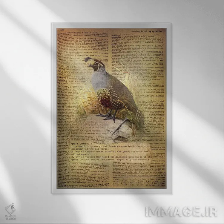 تابلو Q (حرف الفبا) اثر فایو بای فایو کالکتیو - نمای قابدار سفید