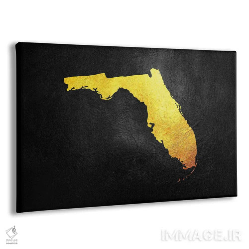 تابلو نقشه طلایی فلوریدا اثر آدریان بالدُوینو - نمای پرسپکتیو محصول