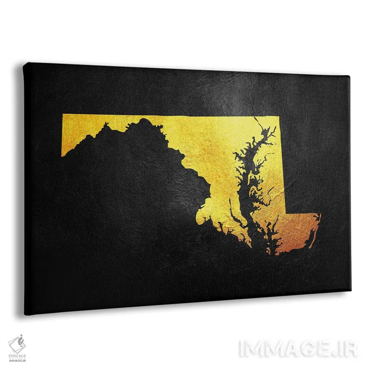 تابلو نقشه طلایی مریلند اثر آدریان بالدُوینو - نمای پرسپکتیو محصول