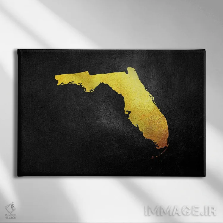 تابلو نقشه طلایی فلوریدا اثر آدریان بالدُوینو - نمای روبهرو روی دیوار