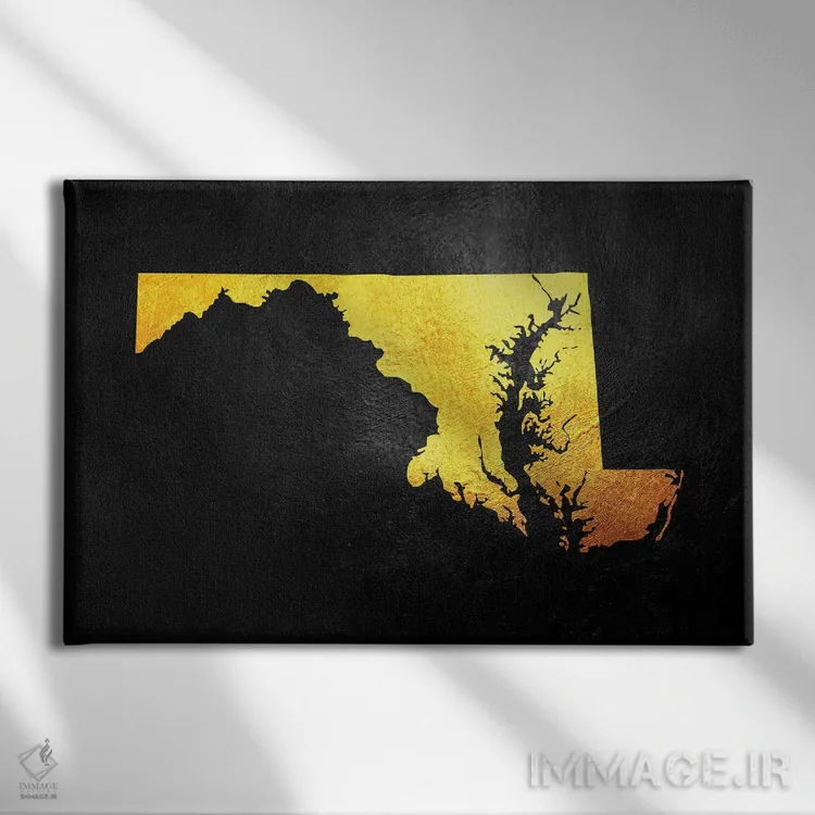 تابلو نقشه طلایی مریلند اثر آدریان بالدُوینو - نمای روبهرو روی دیوار